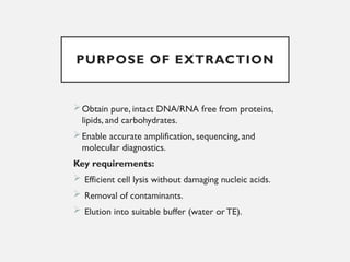 NUCLEIC ACID EXTRACTION TECHNIQUES ... MLS PRESENTATION.pptx