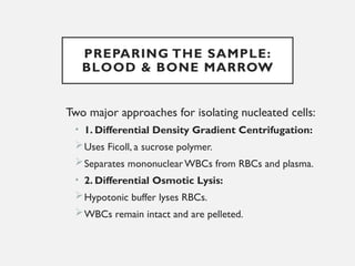 NUCLEIC ACID EXTRACTION TECHNIQUES ... MLS PRESENTATION.pptx