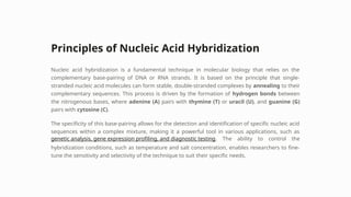 Comprehensive Overview of Nucleic Acid Hybridization Techniques and ...