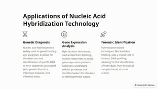 Comprehensive Overview of Nucleic Acid Hybridization Techniques and ...