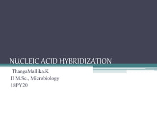 NUCLEIC ACID HYBRIDIZATION
ThangaMallika.K
II M.Sc., Microbiology
18PY20
 