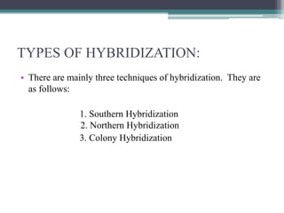 TYPES OF HYBRIDIZATION:
• There are mainly three techniques of hybridization. They are
as follows:
1. Southern Hybridization
2. Northern Hybridization
3. Colony Hybridization
 