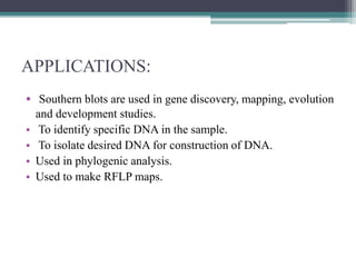 APPLICATIONS:
• Southern blots are used in gene discovery, mapping, evolution
and development studies.
• To identify specific DNA in the sample.
• To isolate desired DNA for construction of DNA.
• Used in phylogenic analysis.
• Used to make RFLP maps.
 