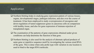 Application
 Northern blotting helps in studying gene expression pattern of various tissues,
organs, developmental stages, pathogen infection, and also over the course of
treatment. It has been employed to study overexpression of oncogenes and
down-regulation of tumor-suppressor genes in cancerous cells on comparison
with healthy tissue, and also for gene expression of immune-rejection of
transplanted organ.
 The examination of the patterns of gene expressions obtained under given
conditions can help determine the function of that gene.
 Northern blotting is also used for the analysis of alternate spliced products of
same gene or repetitive sequence motif by investigating the various sized RNA
of the gene. This is done when only probe type with variation in one location is
used to bind to the target RNA molecule.
 