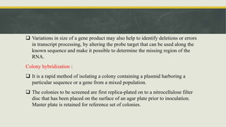  Variations in size of a gene product may also help to identify deletions or errors
in transcript processing, by altering the probe target that can be used along the
known sequence and make it possible to determine the missing region of the
RNA.
Colony hybridization :
 It is a rapid method of isolating a colony containing a plasmid harboring a
particular sequence or a gene from a mixed population.
 The colonies to be screened are first replica-plated on to a nitrocellulose filter
disc that has been placed on the surface of an agar plate prior to inoculation.
Master plate is retained for reference set of colonies.
 