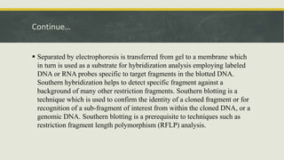 Continue…
 Separated by electrophoresis is transferred from gel to a membrane which
in turn is used as a substrate for hybridization analysis employing labeled
DNA or RNA probes specific to target fragments in the blotted DNA.
Southern hybridization helps to detect specific fragment against a
background of many other restriction fragments. Southern blotting is a
technique which is used to confirm the identity of a cloned fragment or for
recognition of a sub-fragment of interest from within the cloned DNA, or a
genomic DNA. Southern blotting is a prerequisite to techniques such as
restriction fragment length polymorphism (RFLP) analysis.
 