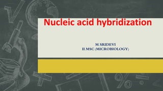 Nucleic acid hybridization
M.SRIDEVI
II.MSC (MICROBIOLOGY)
 