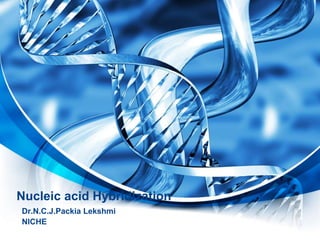 Nucleic acid Hybridization
Dr.N.C.J.Packia Lekshmi
NICHE
 