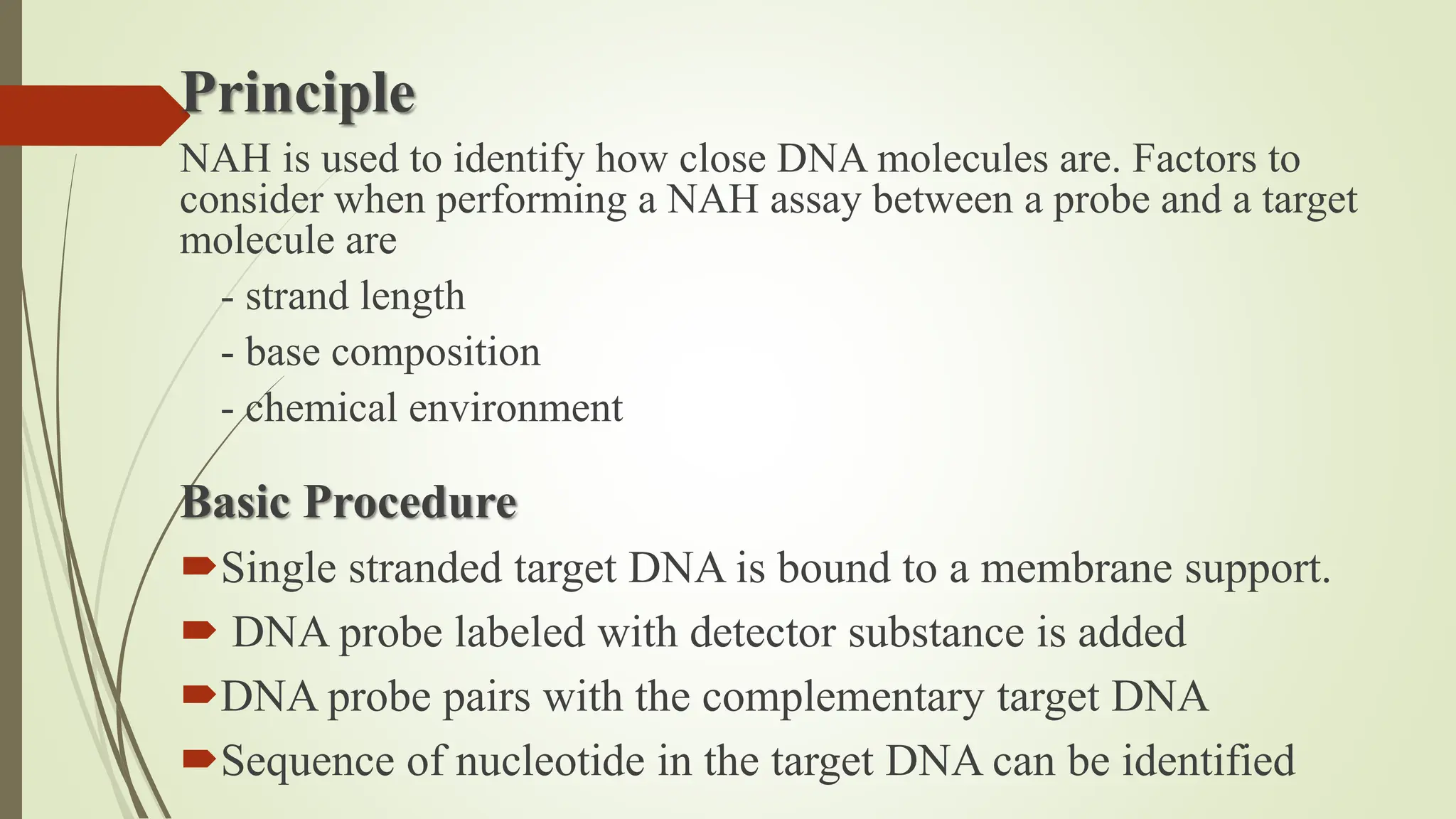 NUCLEIC ACID HYBRIDIZATION PPT PDF visual data 7