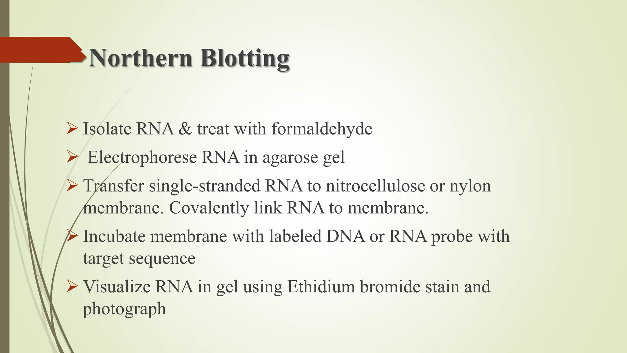 NUCLEIC ACID HYBRIDIZATION PPT visual data 8