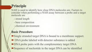 Nah Types Nucleic Acid Hybridization, Nucleic Acid.pptx