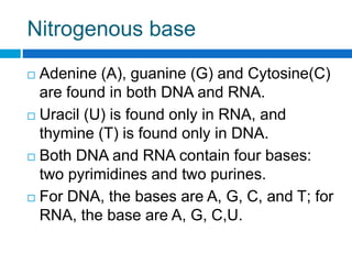 Nucleic acid introduction & metabolism | PPTX
