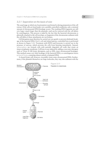 Nucleic Acid Isolation and Purification.pdf