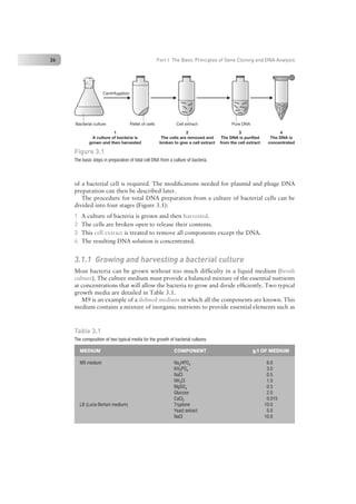 Nucleic Acid Isolation and Purification.pdf