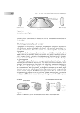 Nucleic Acid Isolation and Purification.pdf