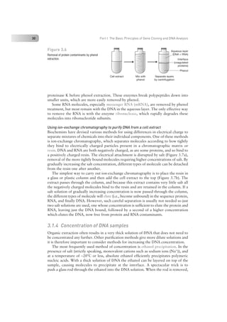 Nucleic Acid Isolation and Purification.pdf