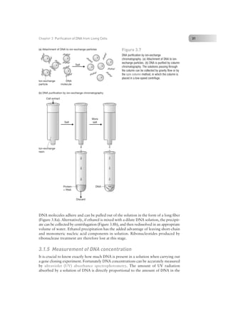Nucleic Acid Isolation and Purification.pdf