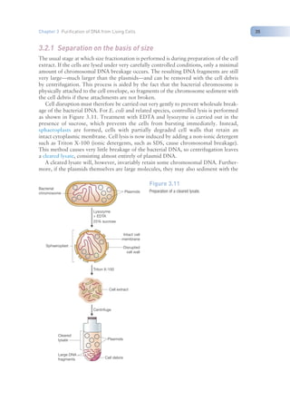 Nucleic Acid Isolation and purification (TAB).pdf