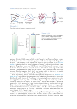 Nucleic Acid Isolation and purification (TAB).pdf
