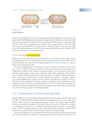 Nucleic Acid Isolation and purification (TAB).pdf