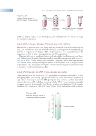 Nucleic Acid Isolation and purification (TAB).pdf