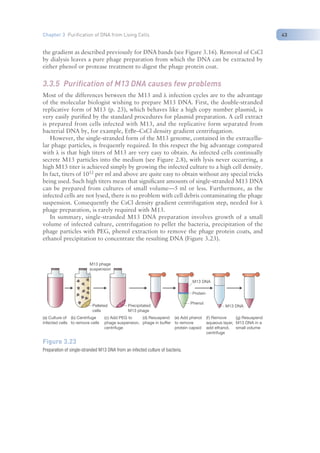 Nucleic Acid Isolation and purification (TAB).pdf
