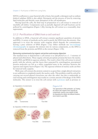 Nucleic Acid Isolation and purification (TAB).pdf