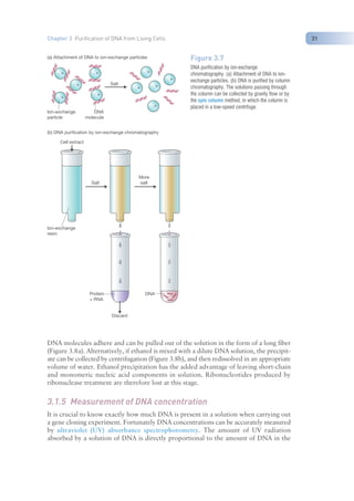 Nucleic Acid Isolation and purification (TAB).pdf