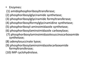 • Enzymes:
(1) amidophosphoribosyltransferase;
(2) phosphoribosylglycinamide synthetase;
(3) phosphoribosylglycinamide formyltransferase;
(4) phosphoribosylformylglycinamidine synthetase;
(5) phosphoribosyl-aminoimidazole synthetase;
(6) phosphoribosylaminoimidazole carboxylase;
(7) phosphoribosylaminoimidazolesuccinocarboxamide
synthetase;
(8) adenylosuccinate lyase;
(9) phosphoribosylaminoimidazolecarboxamide
formyltransferase;
(10) IMP cyclohydrolase.
 