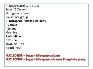 • Nucleic acid consists of
Sugar (5 Carbon)
Nitrogenous base
Phosphate group
• Nitrogenous bases includes
PURINES
Adenine
Guanine
Pyrimidines
Cytosine
Thymine (DNA)
Uracil (RNA)
 