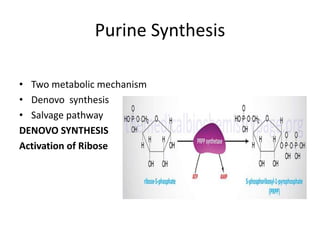Purine Synthesis
• Two metabolic mechanism
• Denovo synthesis
• Salvage pathway
DENOVO SYNTHESIS
Activation of Ribose
 