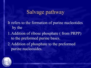 Salvage pathway
It refers to the formation of purine nucleotides
by the
1.Addition of ribose phosphate ( from PRPP)
to the preformed purine bases.
2.Addition of phosphate to the preformed
purine nucleosides.
 