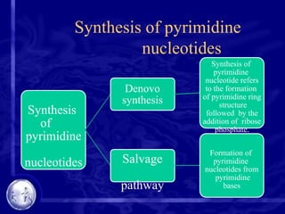 Synthesis of pyrimidine
nucleotides
Synthesis
of
pyrimidine
nucleotides
Denovo
synthesis
Synthesis of
pyrimidine
nucleotide refers
to the formation
of pyrimidine ring
structure
followed by the
addition of ribose
phosphate.
Salvage
pathway
Formation of
pyrimidine
nucleotides from
pyrimidine
bases
 