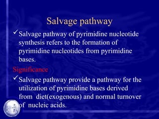 Salvage pathway
Salvage pathway of pyrimidine nucleotide
synthesis refers to the formation of
pyrimidine nucleotides from pyrimidine
bases.
Significance
Salvage pathway provide a pathway for the
utilization of pyrimidine bases derived
from diet(exogenous) and normal turnover
of nucleic acids.
 