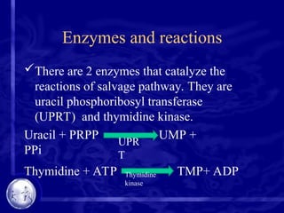 Enzymes and reactions
There are 2 enzymes that catalyze the
reactions of salvage pathway. They are
uracil phosphoribosyl transferase
(UPRT) and thymidine kinase.
Uracil + PRPP UMP +
PPi
Thymidine + ATP TMP+ ADP
UPR
T
Thymidine
kinase
 