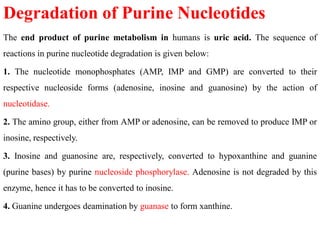 Degradation of Purine Nucleotides
The end product of purine metabolism in humans is uric acid. The sequence of
reactions in purine nucleotide degradation is given below:
1. The nucleotide monophosphates (AMP, IMP and GMP) are converted to their
respective nucleoside forms (adenosine, inosine and guanosine) by the action of
nucleotidase.
2. The amino group, either from AMP or adenosine, can be removed to produce IMP or
inosine, respectively.
3. Inosine and guanosine are, respectively, converted to hypoxanthine and guanine
(purine bases) by purine nucleoside phosphorylase. Adenosine is not degraded by this
enzyme, hence it has to be converted to inosine.
4. Guanine undergoes deamination by guanase to form xanthine.
 