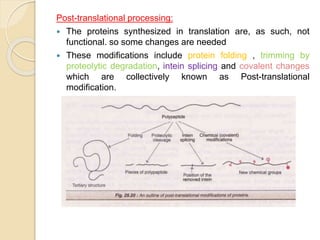 Nucleic acid metabolism and genetic information transfer | PPTX