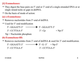 Nuckei nucleic acid activity in the enzyme for the students of SY | PPT