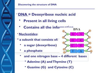 Comprehensive Overview of Nucleic Acids: DNA and RNA Structure ...