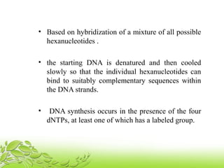 • Based on hybridization of a mixture of all possible
hexanucleotides .
• the starting DNA is denatured and then cooled
slowly so that the individual hexanucleotides can
bind to suitably complementary sequences within
the DNA strands.
• DNA synthesis occurs in the presence of the four
dNTPs, at least one of which has a labeled group.
 
