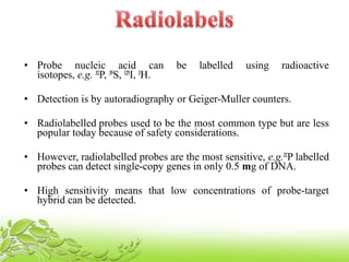 • Probe nucleic acid can be labelled using radioactive
isotopes, e.g. 32
P, 35
S, 125
I, 3
H.
• Detection is by autoradiography or Geiger-Muller counters.
• Radiolabelled probes used to be the most common type but are less
popular today because of safety considerations.
• However, radiolabelled probes are the most sensitive, e.g.32
P labelled
probes can detect single-copy genes in only 0.5 mg of DNA.
• High sensitivity means that low concentrations of probe-target
hybrid can be detected.
 