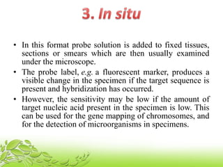 • In this format probe solution is added to fixed tissues,
sections or smears which are then usually examined
under the microscope.
• The probe label, e.g. a fluorescent marker, produces a
visible change in the specimen if the target sequence is
present and hybridization has occurred.
• However, the sensitivity may be low if the amount of
target nucleic acid present in the specimen is low. This
can be used for the gene mapping of chromosomes, and
for the detection of microorganisms in specimens.
 