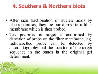• After size fractionation of nucleic acids by
electrophoresis, they are transferred to a filter
membrane which is then probed.
• The presence of target is confirmed by
detection of probe on the filter membrane, e.g.
radiolabelled probe can be detected by
autoradiography and the location of the target
sequence in the bands in the original gel
determined.
 