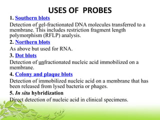 USES OF  PROBES
1. Southern blots
Detection of gel-fractionated DNA molecules transferred to a
membrane. This includes restriction fragment length
polymorphism (RFLP) analysis.
2. Northern blots
As above but used for RNA.
3. Dot blots
Detection of unfractionated nucleic acid immobilized on a
membrane.
4. Colony and plaque blots
Detection of immobilized nucleic acid on a membrane that has
been released from lysed bacteria or phages.
5. In situ hybridization
Direct detection of nucleic acid in clinical specimens.
 