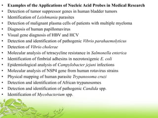 • Examples of the Applications of Nucleic Acid Probes in Medical Research
• Detection of tumor suppressor genes in human bladder tumors
• Identification of Leishmania parasites
• Detection of malignant plasma cells of patients with multiple myeloma
• Diagnosis of human papillomavirus
• Visual gene diagnosis of HBV and HCV
• Detection and identification of pathogenic Vibrio parahaemolyticus
• Detection of Vibrio cholerae
• Molecular analysis of tetracycline resistance in Salmonella enterica
• Identification of fimbrial adhesins in necrotoxigenic E. coli
• Epidemiological analysis of Campylobacter jejuni infections
• Molecular analysis of NSP4 gene from human rotavirus strains
• Physical mapping of human parasite Trypanosoma cruzi
• Detection and identification of African trypanosomes
• Detection and identification of pathogenic Candida spp.
• Identification of Mycobacterium spp.
 
