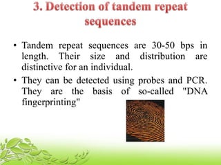 • Tandem repeat sequences are 30-50 bps in
length. Their size and distribution are
distinctive for an individual.
• They can be detected using probes and PCR.
They are the basis of so-called "DNA
fingerprinting"
 