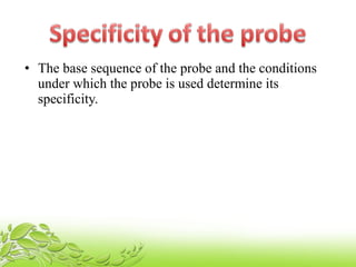 • The base sequence of the probe and the conditions
under which the probe is used determine its
specificity.
 