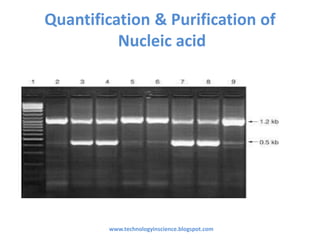 Quantification & Purification of
Nucleic acid
www.technologyinscience.blogspot.com
 