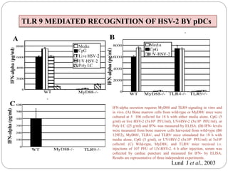 IFN-alpha secretion requires MyD88 and TLR9 signaling in vitro and
in vivo. (A) Bone marrow cells from wild-type or MyD88/ mice were
cultured at 5 106 cells/ml for 18 h with either media alone, CpG (5
g/ml) or live HSV-2 (5x106 PFU/ml), UV-HSV-2 (5x106 PFU/ml), or
Poly I:C (25 g/ml) and IFN- was measured by ELISA. (B) IFN- levels
were measured from bone marrow cells harvested from wild-type (B6
129F2), MyD88/, TLR4/, and TLR9/ mice stimulated for 18 h with
media alone, CpG (5 g/ml), or UV-HSV-2 (5x106 PFU/ml) at 5x106
cells/ml. (C) Wild-type, MyD88/, and TLR9/ mice received i.v.
injections of 107 PFU of UV-HSV-2. 6 h after injection, serum was
collected by cardiac puncture and measured for IFN- by ELISA.
Results are representative of three independent experiments.
Lund J et al., 2003
TLR 9 MEDIATED RECOGNITION OF HSV-2 BY pDCs
 