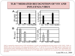 TLR7 is required for responsiveness to VSV and influenza. (A) pDCs were purified from the bone marrow of WT, TLR7/, TLR9/, or
MyD88/ mice by flowcytometric cell sorting and infected with 5x 106 pfu ml VSV for 18 h. IFN alpha and IL-12 p40 levels were
measured from culture supernatants by ELISA. (B) Total bone marrow cells were prepared from WT, TLR3/, TLR7/ and MyD88/ mice
and cultured with media or 5x106 pfu ml influenza for 18 h. IFN alpha and IL-12 p40 levels were measured from culture supernatants
by ELISA.
Lund JM et al., 2004
TLR 7 MEDIATED RECOGNITION OF VSV AND
INFLUENZA VIRUS
 